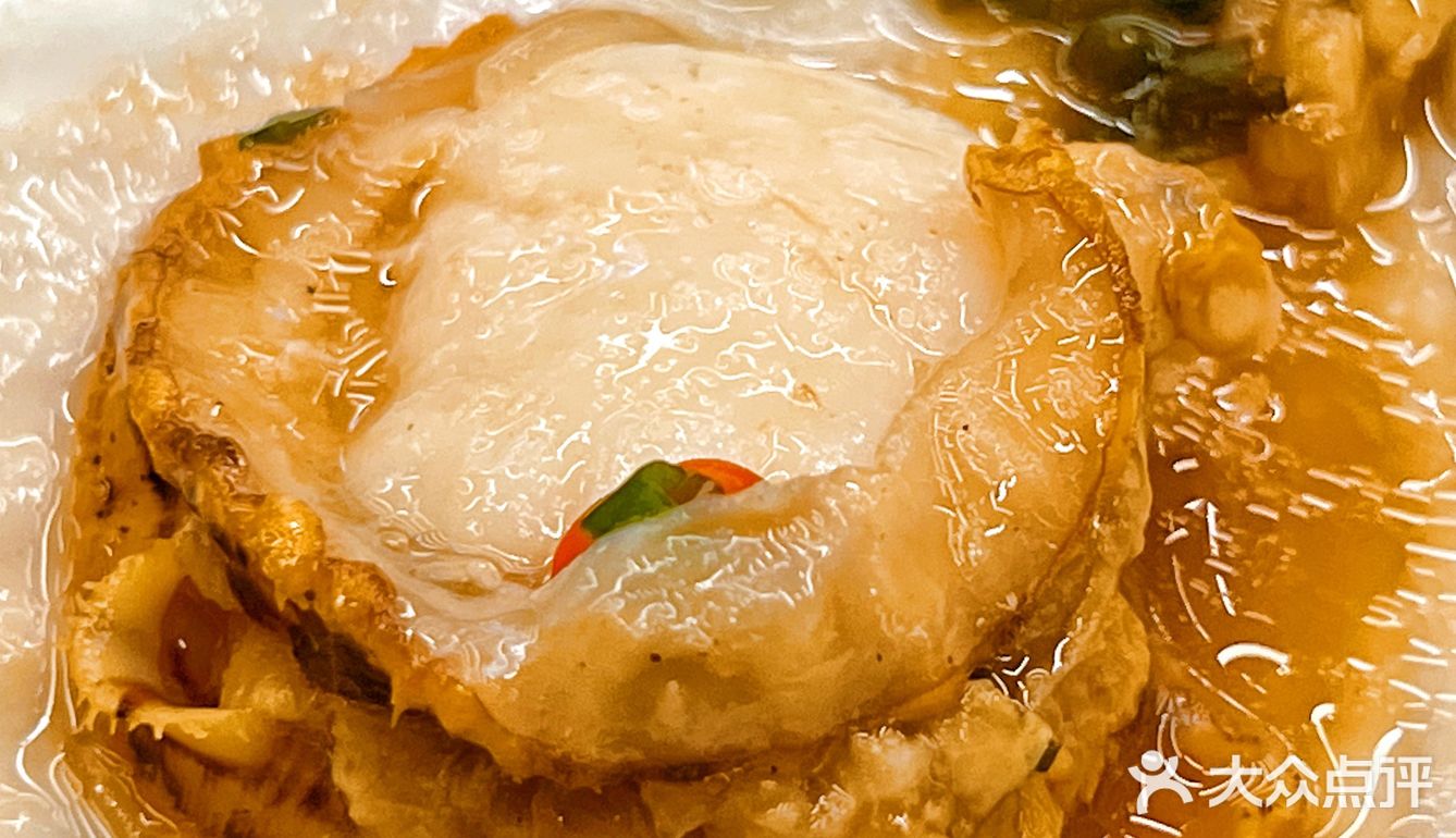 正宗鲜活大连海鲜‼️平价海鲜好去处‼️鲜‼️