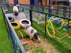 -太阳岛度假酒店