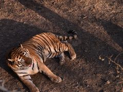 -石家庄市动物园