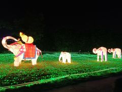 -广东花都香草世界旅游度假区