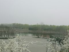 -永定河休闲森林公园