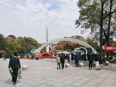 -南山植物园