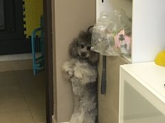-江渔儿酸菜鱼(万科东荟城店)