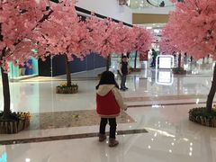 -上海颛桥万达广场