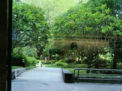 -南宁荔园维景国际酒店·荔园中餐厅