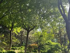 -燕郊植物园