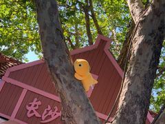 -南宫五洲植物乐园