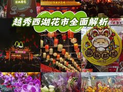 -越秀西湖花市(广州城市广场花卉店)