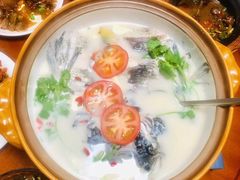 -全乐鱼馆·淳牌有机鱼直营店