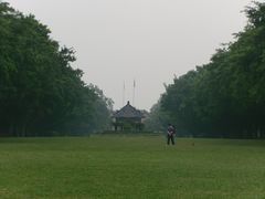 -中山大学学者灵芝(园南路店)