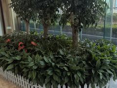 -漫·汤泉