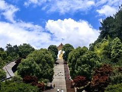 -庐山风景名胜区-东林大佛