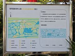 -上海海湾国家森林公园