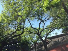 -北京国子监胡同