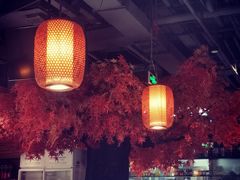 大堂-雲蜀龙阁·金牌水煮鱼(方庄店)