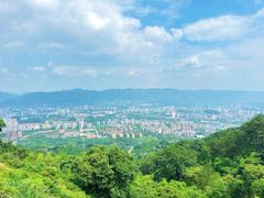 -缙云山景区