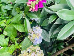-花二家·生活馆(六运小区店)