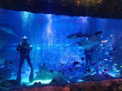 -沈阳海洋探索中心