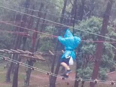 -梦幻奥陶纪景区