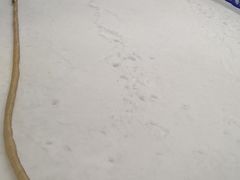 -Mr·Kuma酷么先生雪之乐园