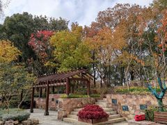 -上海市保健医疗中心