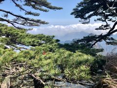 -黄山风景区