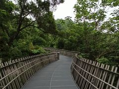 -福道