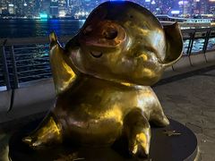 -星光大道