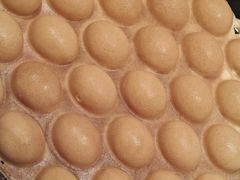 -成都仁和新城购物中心