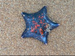 -威海国际海水浴场旅游区