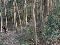 -西湖天地