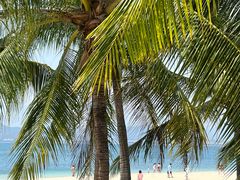 -三亚西岛海洋文化旅游区