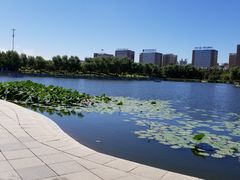 -长春世界雕塑园冰雪艺术天地