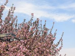 -苏州卫生职业技术学院(石湖校区)