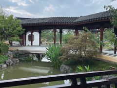 -上海滨江森林公园