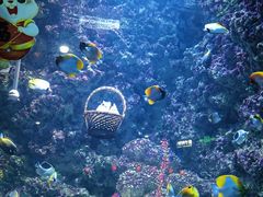 -海合安青岛极地海洋公园