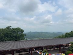 -庐山风景名胜区-东林大佛
