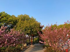 -敬亭山风景名胜区