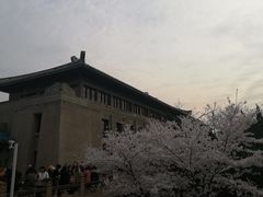 -武汉大学-樱园