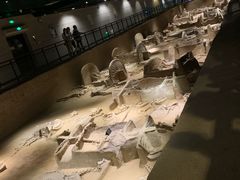 -洛阳周王城天子驾六博物馆