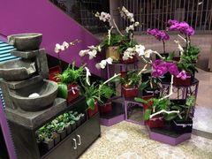 iphone_upload_pic-婷意花宇TheGracesFloral(北外滩店)