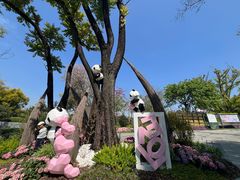 -云溪植物园