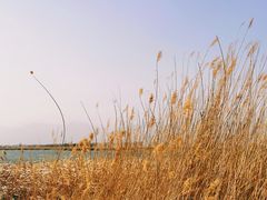 -野鸭湖国家湿地公园