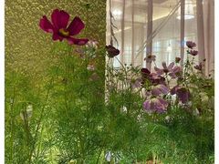 -格桑花开药膳蔬食文化空间
