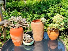 -半山•草庐玖厨(机场路店)