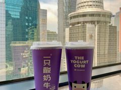 -一只酸奶牛(八一路店)
