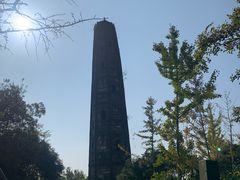 -上海佘山国家森林公园天马山园