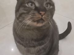 -纳吉亚猫专科动物医院博雅分院