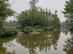 -桤木河湿地公园