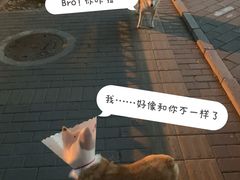 -北京恒爱动物医院(清景园分院)